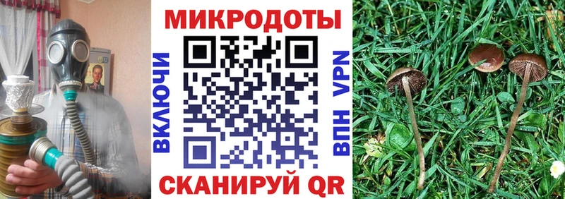 гидра зеркало  Багратионовск  Галлюциногенные грибы Cubensis 