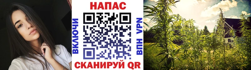 Конопля THC 21% mega сайт Багратионовск
